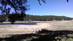 Lake in Mt Laguna meadows