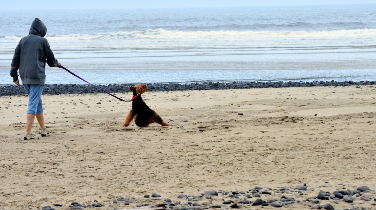 Barbara and Frazier on a beach in OR