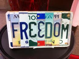 freedom plate
