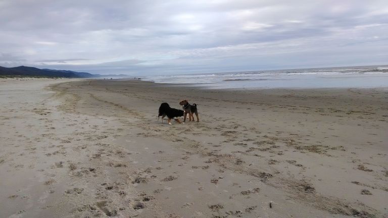 Beach Near State Park In Oregon