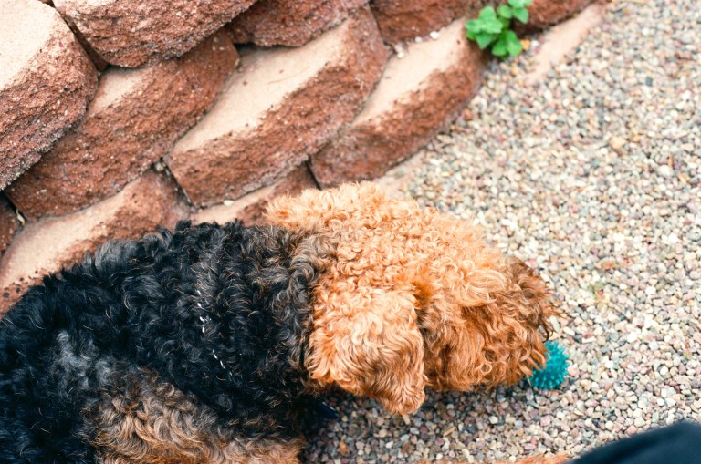 This is a finely detailed scan of a 35mm film picture taken with an Olympus OM2n. Originally it is a 38 mp image.