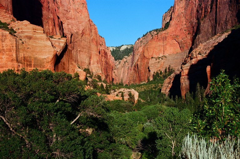 Zion 5 minolta ektar