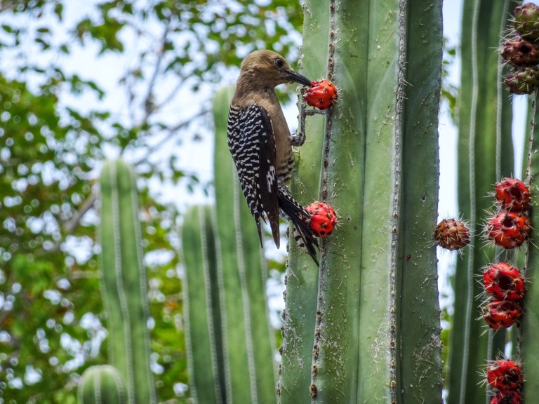 AZ trip with Cathy &amp; Jeff-53