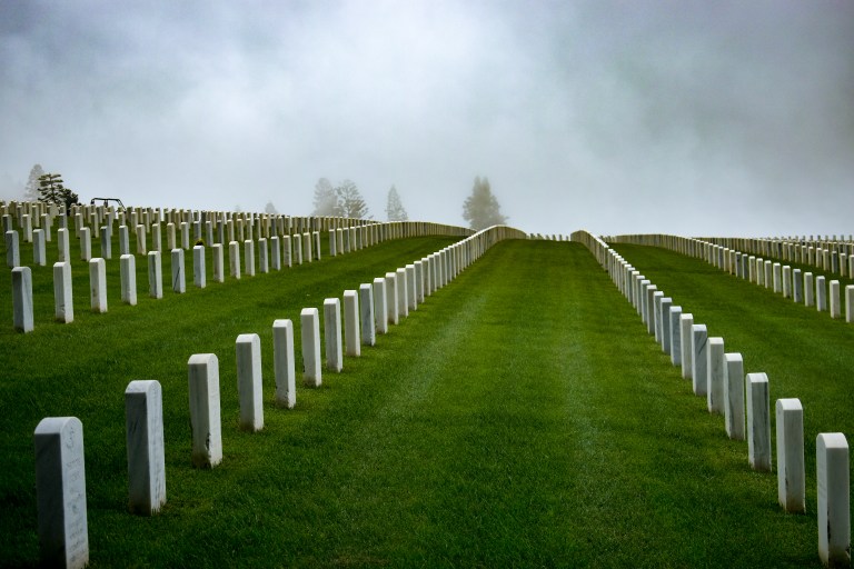 fog with graves leading to trees