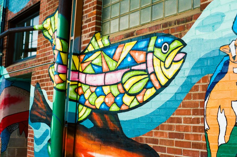 flagged film photos-000005320020