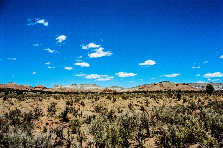 flagged film photos-000005320030