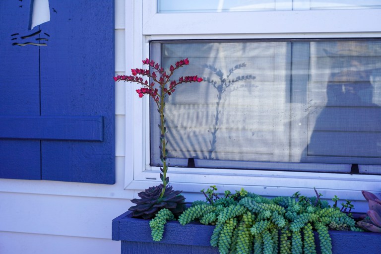 South rim trail-00563