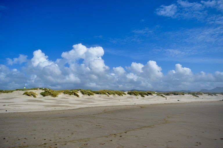 Jamul back country_-4